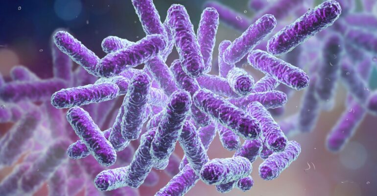 Salmonella